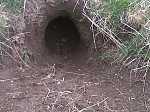Click image for larger version. 

Name:	Rumster hole.jpg 
Views:	580 
Size:	83.6 KB 
ID:	11887