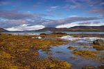 Click image for larger version. 

Name:	Loch Fleet.jpg 
Views:	432 
Size:	97.1 KB 
ID:	21942
