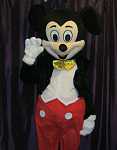 Click image for larger version. 

Name:	Mickey Close up.jpg 
Views:	106 
Size:	93.3 KB 
ID:	11531