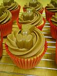 Click image for larger version. 

Name:	malteser bunny cupcakes.jpg 
Views:	241 
Size:	85.5 KB 
ID:	17239