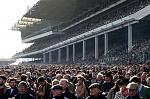 Click image for larger version. 

Name:	cheltenhamfestival1303v1a-1.jpg 
Views:	81 
Size:	99.6 KB 
ID:	35193